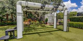 10156 N Orchid Reserve Drive Gallery 93