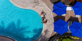 Portofino Cove Gallery 14