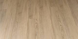 19248 Palm Gallery 6