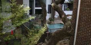 Great Downtown Living, Condo for Rent in Austin, 700 S. 1st Gallery 5