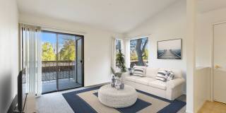 Lakeshore Apartments Gallery 7