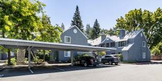 Ygnacio Village Gallery 20