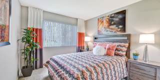 Park Pointe Gallery 12