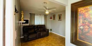 3720 W Mauna Loa Lane Gallery 4