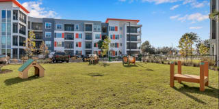 Nexus Brandon Gallery 47