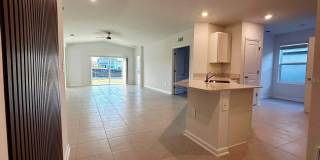 339 PUMA LOOP Gallery 8