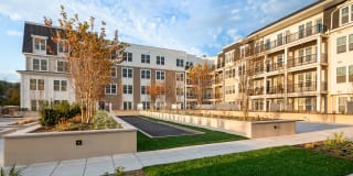 Harbor Landing Gallery 35