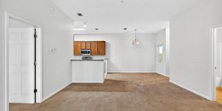 8188 CABIN LAKE Circle Gallery 9