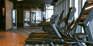 The Mitchell Gallery 19