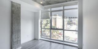 Maia Avira at Glendale Gallery 42