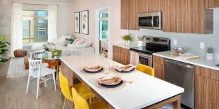 Scout on the Circle Gallery 1