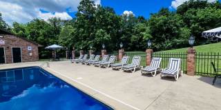 Country Shores Gallery 40