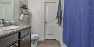 2831 Lavender Gallery 17