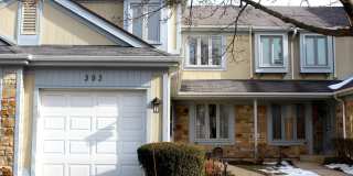 393 Catbird Lane Gallery 1
