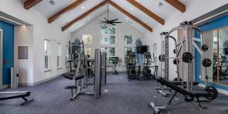 Palmhouse Gallery 15