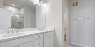 44504 WOLFHOUND Square Gallery 13