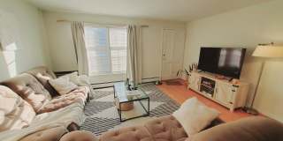 11 Elmwood Street Gallery 5