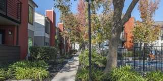 Eclipse 96 Apartments Gallery 17