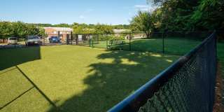 Tuscarora Creek Gallery 12