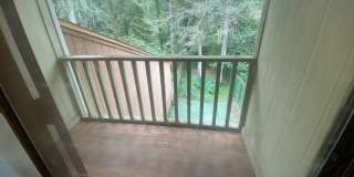 1730 Beechwood Circle North Gallery 16