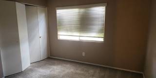 Ranch Style 3 bed/1.75 Bath, RV parking NO HOA! Gallery 14