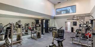 Ansley Murrayhill Gallery 9