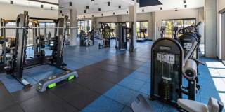 The Emery Gallery 80