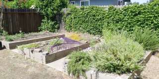 3 Bed 2.5 Bath 1,766 sqft Fair Oaks Home Gallery 24