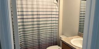 8187 Gopher Tortoise Trail Gallery 11