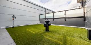 Center Steps Center Steps Gallery 26