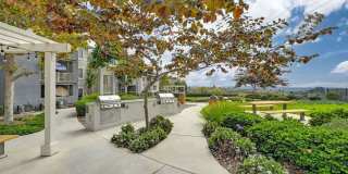 The Tradition Gallery 6