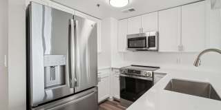 Half Moon Harbour Gallery 6