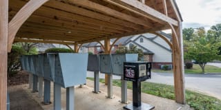 The Fields Gallery 31