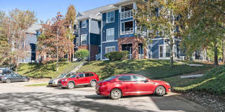 Avana Lexington Gallery 49