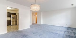 3709 S GEORGE MASON Drive Gallery 14