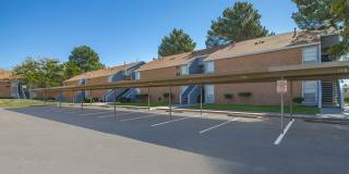 Wind Tree Gallery 14