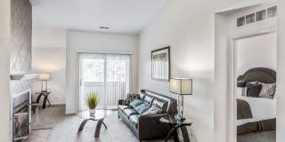 Shoal Creek Gallery 8