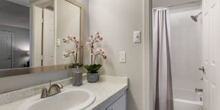 Presidio North Gallery 12