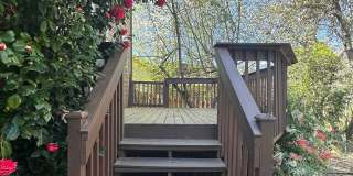 Beautiful 3 Bed + Bonus Room, 2.5 Bath Home! Gallery 17