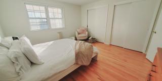 11 Elmwood Street Gallery 9