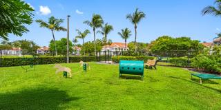 The Palms of Doral Gallery 52