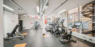 The Locks The Locks Gallery 17