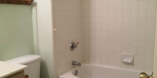 Welcome home to 8003 Chestnut Manor! Gallery 11