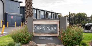Prospera Village Gallery 30