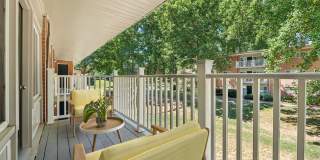 Glenmont Forest Gallery 22