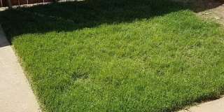 117 N Glenwood Drive Gallery 21
