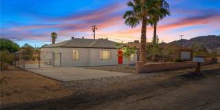 5619 Daisy Gallery 1