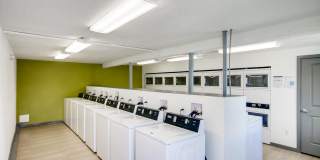 Alpine Flats Gallery 18