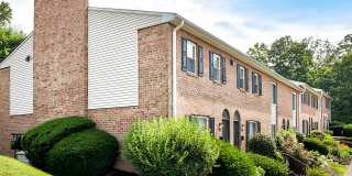 Wilkeswood Gallery 2