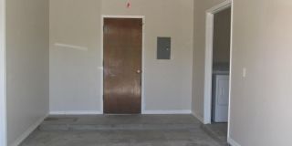 2933 WEDGEWOOD Drive Gallery 22